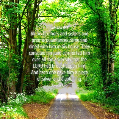 Picture 04 - Job 42:11 BSB - All his brothers and sisters and prior - Bible Verse Picture