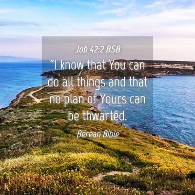Picture 04 - Job 42:2 BSB - “I know that You can do all things and that no - Bible Verse Picture