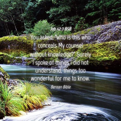 Picture 04 - Job 42:3 BSB - You asked, ‘Who is this who conceals My counsel - Bible Verse Picture