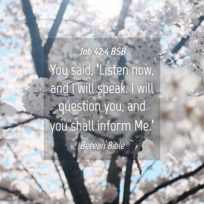 Picture 04 - Job 42:4 BSB - You said, ‘Listen now, and I will speak. I will - Bible Verse Picture