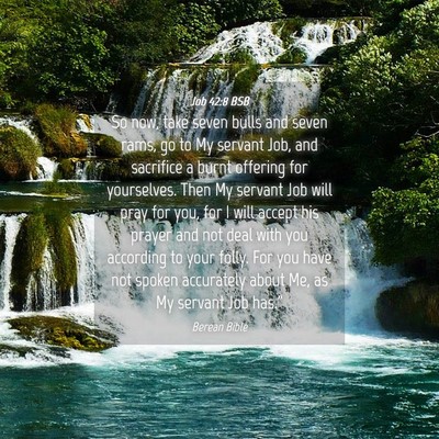 Picture 04 - Job 42:8 BSB - So now, take seven bulls and seven rams, go to My - Bible Verse Picture