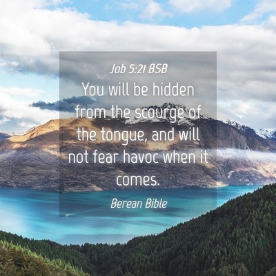 Picture 04 - Job 5:21 BSB - You will be hidden from the scourge of the - Bible Verse Picture