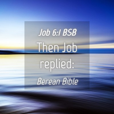 Picture 04 - Job 6:1 BSB - Then Job - Bible Verse Picture