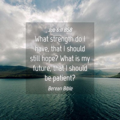 Picture 04 - Job 6:11 BSB - What strength do I have, that I should still - Bible Verse Picture
