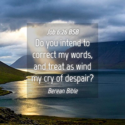 Picture 04 - Job 6:26 BSB - Do you intend to correct my words, and treat as - Bible Verse Picture