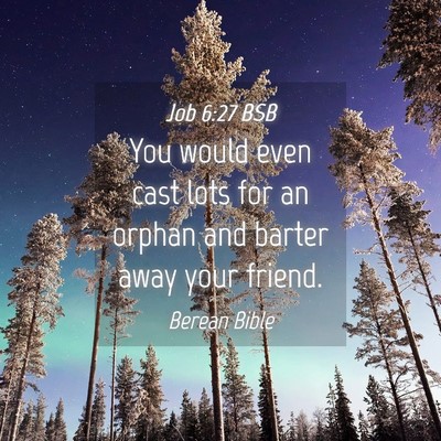 Picture 04 - Job 6:27 BSB - You would even cast lots for an orphan and barter - Bible Verse Picture