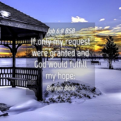 Picture 04 - Job 6:8 BSB - If only my request were granted and God would - Bible Verse Picture