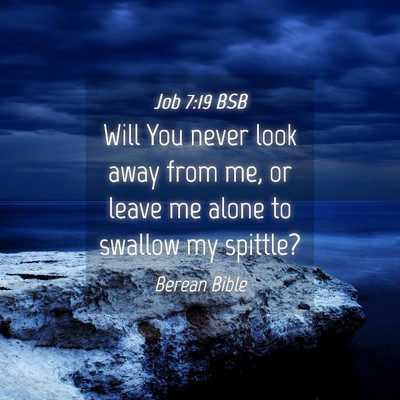 Picture 04 - Job 7:19 BSB - Will You never look away from me, or leave me - Bible Verse Picture
