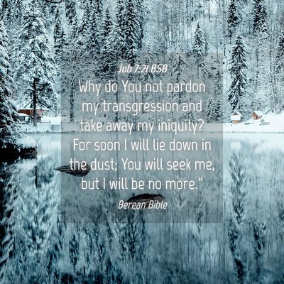 Picture 04 - Job 7:21 BSB - Why do You not pardon my transgression and take - Bible Verse Picture