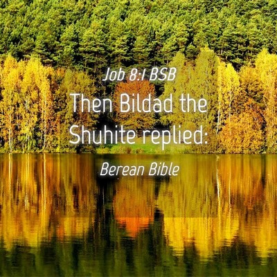 Picture 04 - Job 8:1 BSB - Then Bildad the Shuhite - Bible Verse Picture