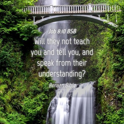 Picture 04 - Job 8:10 BSB - Will they not teach you and tell you, and speak - Bible Verse Picture