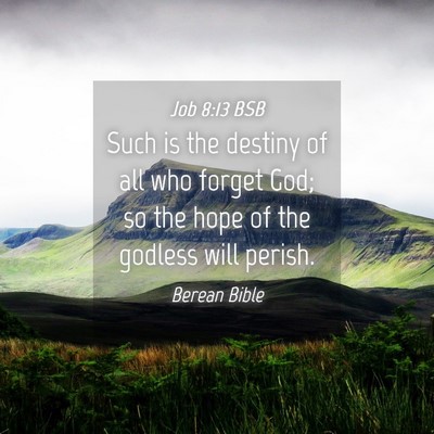 Picture 04 - Job 8:13 BSB - Such is the destiny of all who forget God; so the - Bible Verse Picture