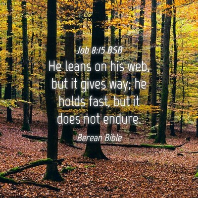 Picture 04 - Job 8:15 BSB - He leans on his web, but it gives way; he holds - Bible Verse Picture