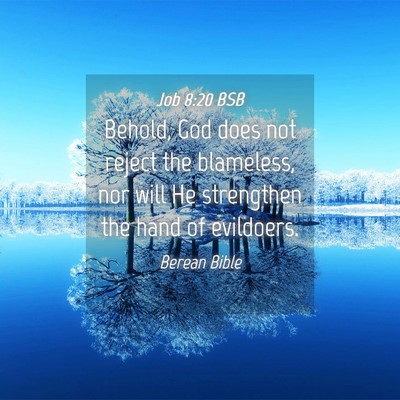 Picture 04 - Job 8:20 BSB - Behold, God does not reject the blameless, nor - Bible Verse Picture