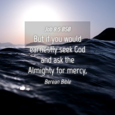 Picture 04 - Job 8:5 BSB - But if you would earnestly seek God and ask the - Bible Verse Picture