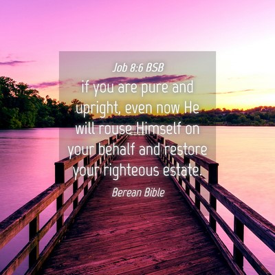 Picture 04 - Job 8:6 BSB - if you are pure and upright, even now He will - Bible Verse Picture