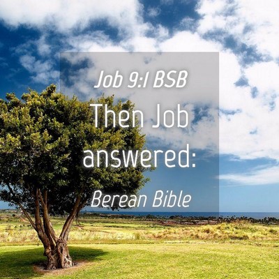 Picture 04 - Job 9:1 BSB - Then Job - Bible Verse Picture
