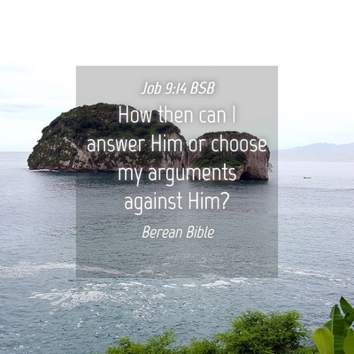 Picture 04 - Job 9:14 BSB - How then can I answer Him or choose my arguments - Bible Verse Picture