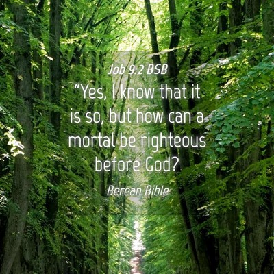 Picture 04 - Job 9:2 BSB - “Yes, I know that it is so, but how can a - Bible Verse Picture
