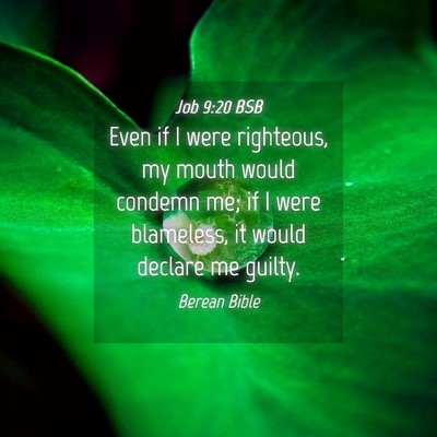 Picture 04 - Job 9:20 BSB - Even if I were righteous, my mouth would condemn - Bible Verse Picture