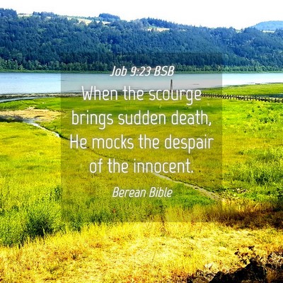 Picture 04 - Job 9:23 BSB - When the scourge brings sudden death, He mocks - Bible Verse Picture