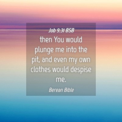 Picture 04 - Job 9:31 BSB - then You would plunge me into the pit, and even - Bible Verse Picture