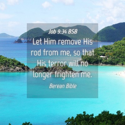 Picture 04 - Job 9:34 BSB - Let Him remove His rod from me, so that His - Bible Verse Picture