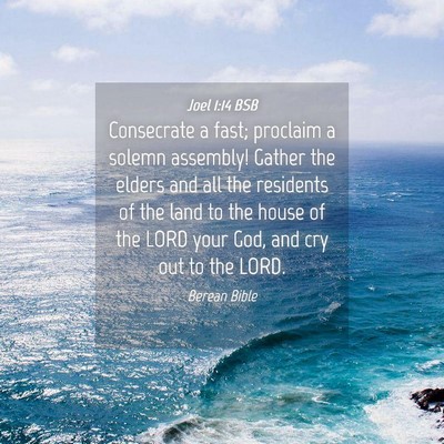 Picture 04 - Joel 1:14 BSB - Consecrate a fast; proclaim a solemn assembly! - Bible Verse Picture