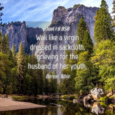 Picture 04 - Joel 1:8 BSB - Wail like a virgin dressed in sackcloth, grieving - Bible Verse Picture