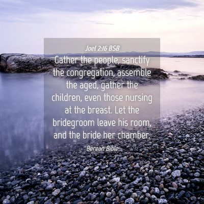 Picture 04 - Joel 2:16 BSB - Gather the people, sanctify the congregation, - Bible Verse Picture