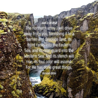 Picture 04 - Joel 2:20 BSB - The northern army I will drive away from you, - Bible Verse Picture