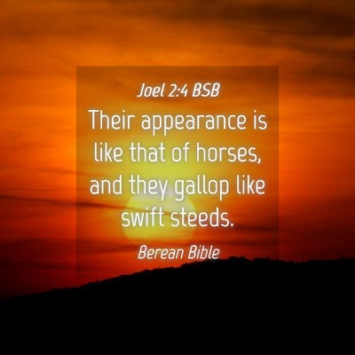 Picture 04 - Joel 2:4 BSB - Their appearance is like that of horses, and they - Bible Verse Picture