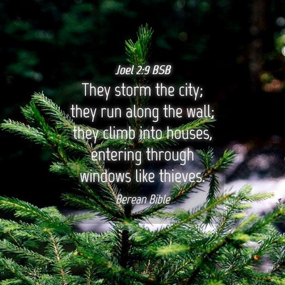 Picture 04 - Joel 2:9 BSB - They storm the city; they run along the wall; - Bible Verse Picture