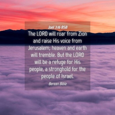 Picture 04 - Joel 3:16 BSB - The LORD will roar from Zion and raise His voice - Bible Verse Picture