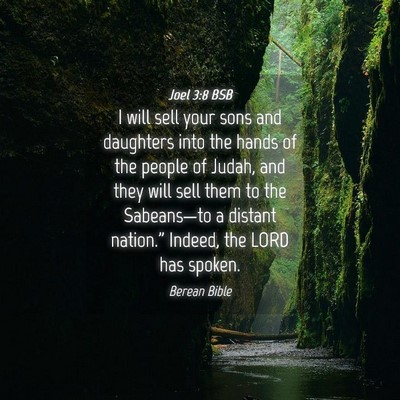 Picture 04 - Joel 3:8 BSB - I will sell your sons and daughters into the - Bible Verse Picture