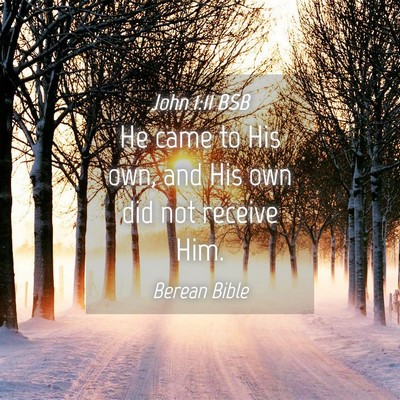 Picture 04 - John 1:11 BSB - He came to His own, and His own did not receive - Bible Verse Picture