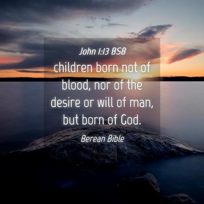 Picture 04 - John 1:13 BSB - children born not of blood, nor of the desire or - Bible Verse Picture