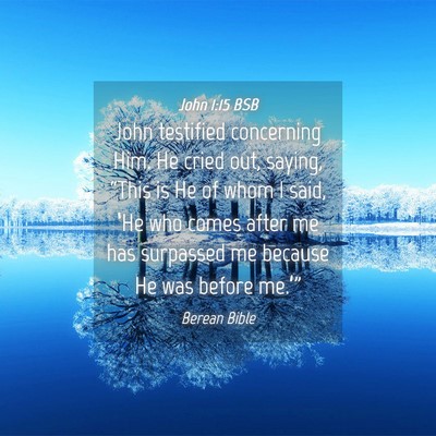 Picture 04 - John 1:15 BSB - John testified concerning Him. He cried out, - Bible Verse Picture