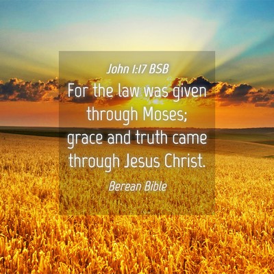 Picture 04 - John 1:17 BSB - For the law was given through Moses; grace and - Bible Verse Picture