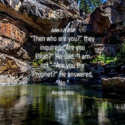 Picture 04 - John 1:21 BSB - “Then who are you?” they inquired. “Are you - Bible Verse Picture