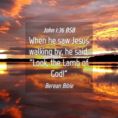 Picture 04 - John 1:36 BSB - When he saw Jesus walking by, he said, “Look, - Bible Verse Picture