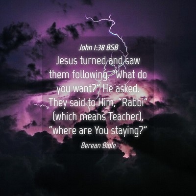 Picture 04 - John 1:38 BSB - Jesus turned and saw them following. “What do - Bible Verse Picture