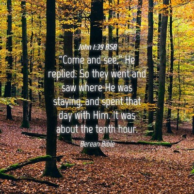 Picture 04 - John 1:39 BSB - “Come and see,” He replied. So they went and - Bible Verse Picture