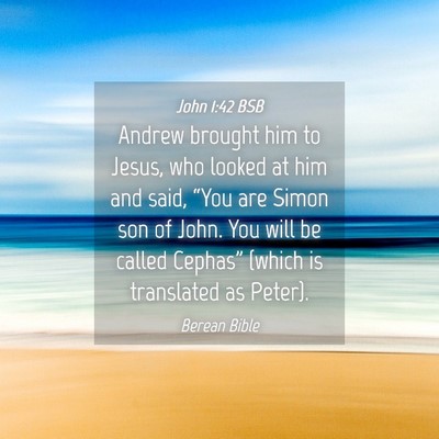 Picture 04 - John 1:42 BSB - Andrew brought him to Jesus, who looked at him - Bible Verse Picture