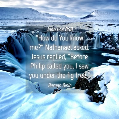 Picture 04 - John 1:48 BSB - “How do You know me?” Nathanael asked. Jesus - Bible Verse Picture