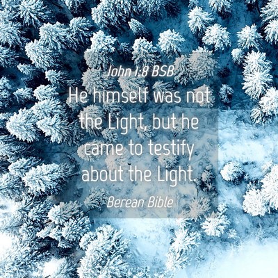 Picture 04 - John 1:8 BSB - He himself was not the Light, but he came to - Bible Verse Picture