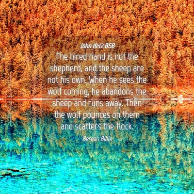 Picture 04 - John 10:12 BSB - The hired hand is not the shepherd, and the sheep - Bible Verse Picture