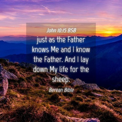 Picture 04 - John 10:15 BSB - just as the Father knows Me and I know the - Bible Verse Picture