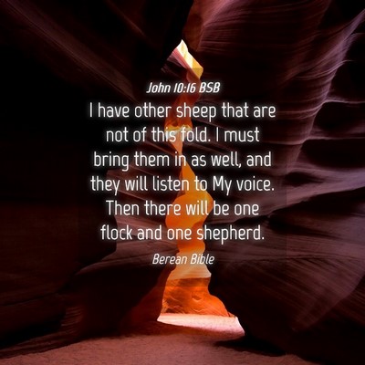 Picture 04 - John 10:16 BSB - I have other sheep that are not of this fold. I - Bible Verse Picture