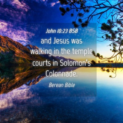 Picture 04 - John 10:23 BSB - and Jesus was walking in the temple courts in - Bible Verse Picture